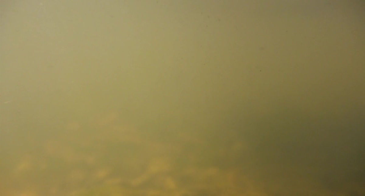 chippokes state park water running 07-03-17